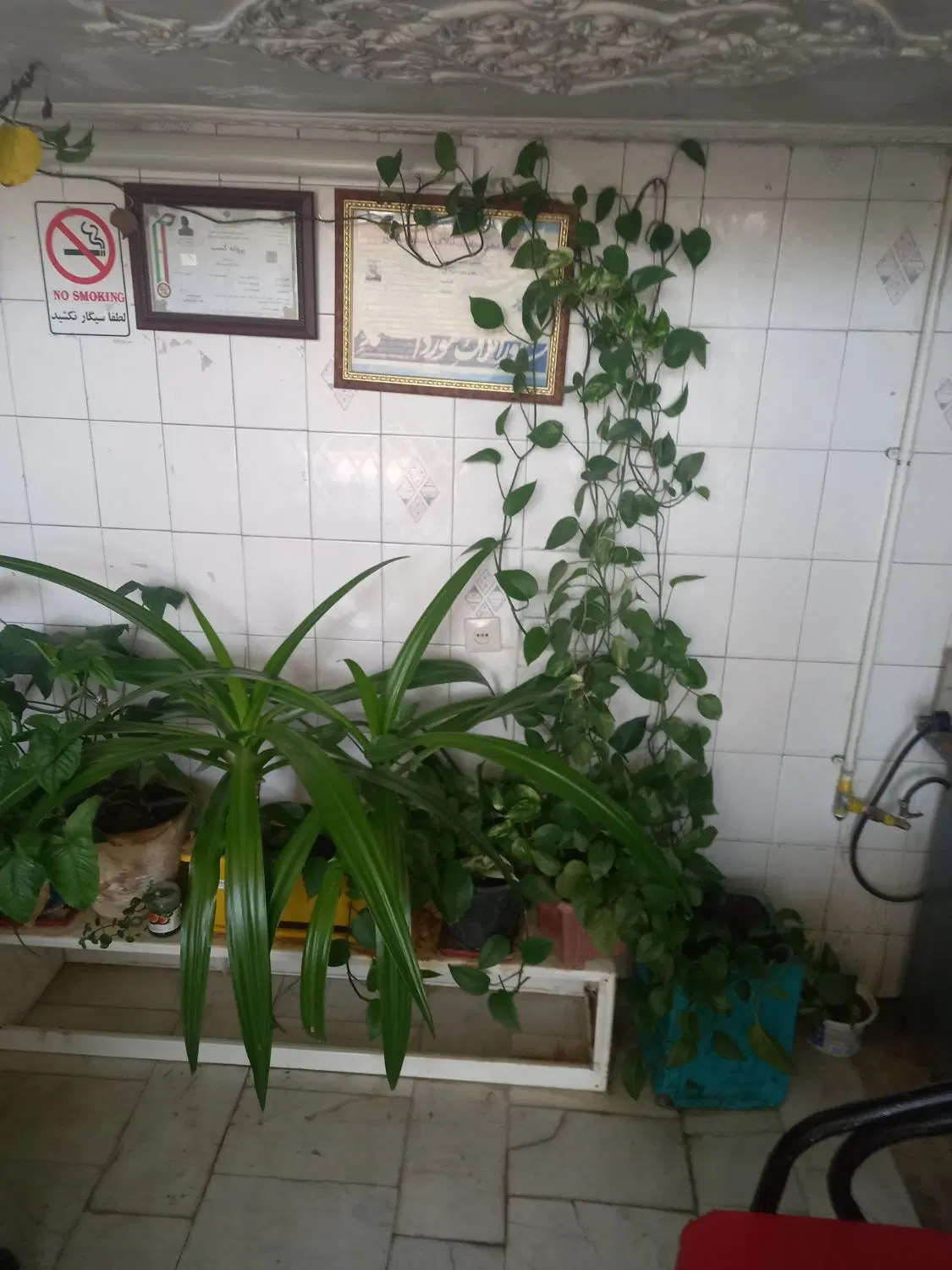 ویلایی ۲۹۰متری