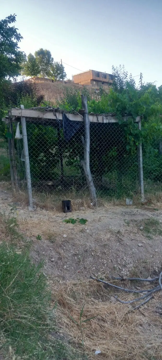 باغچه حدودا ۱۰۰۰متری