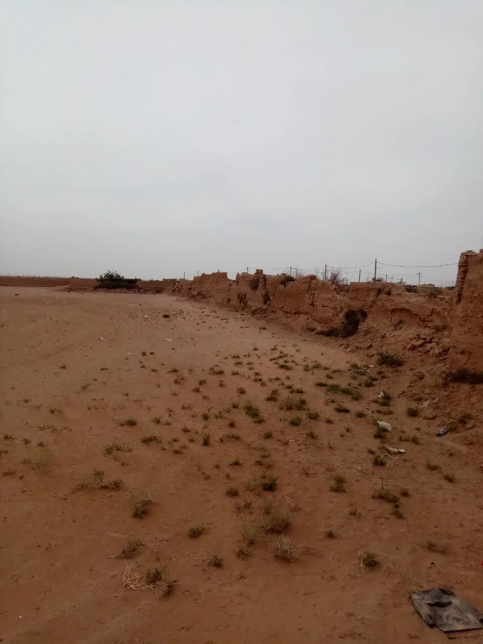 زمین باغ