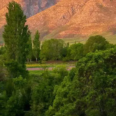 معاوضه زمین با خودرو