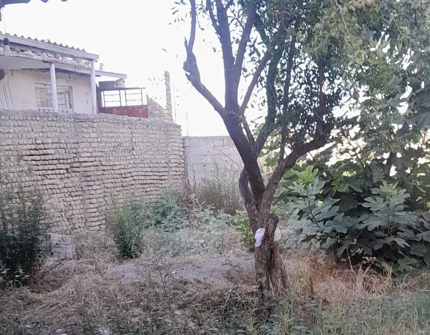 زمین ۵۷ متر اوزینه