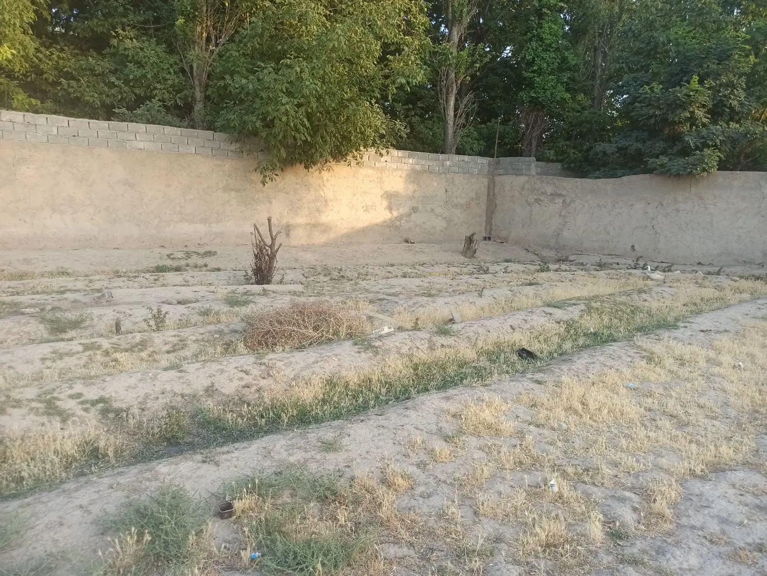 زمین زراعی در محمد شهر،برای سرمایه گذاری
