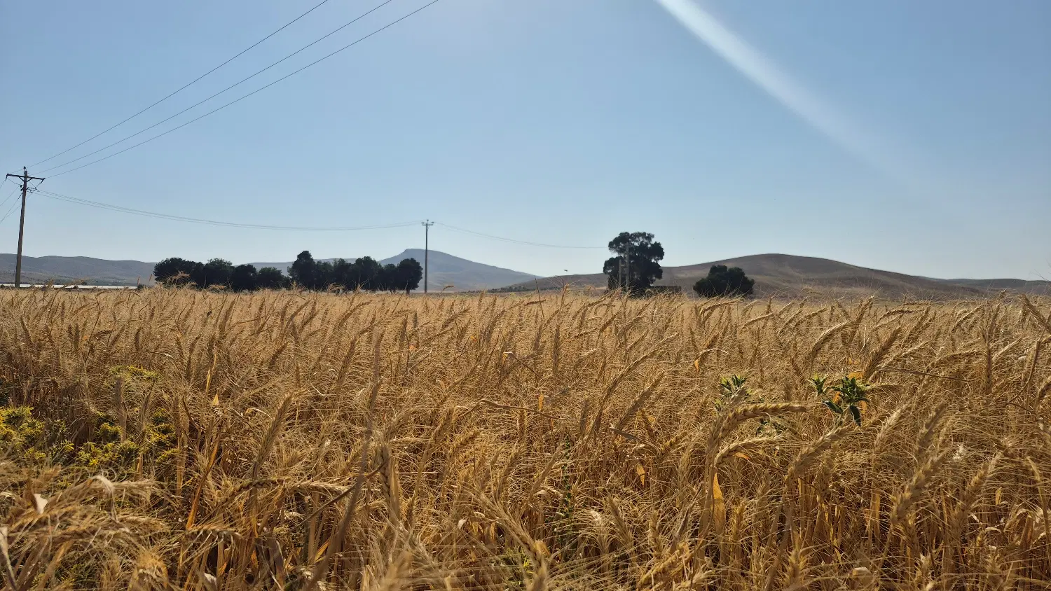 سلام مهدی آباد