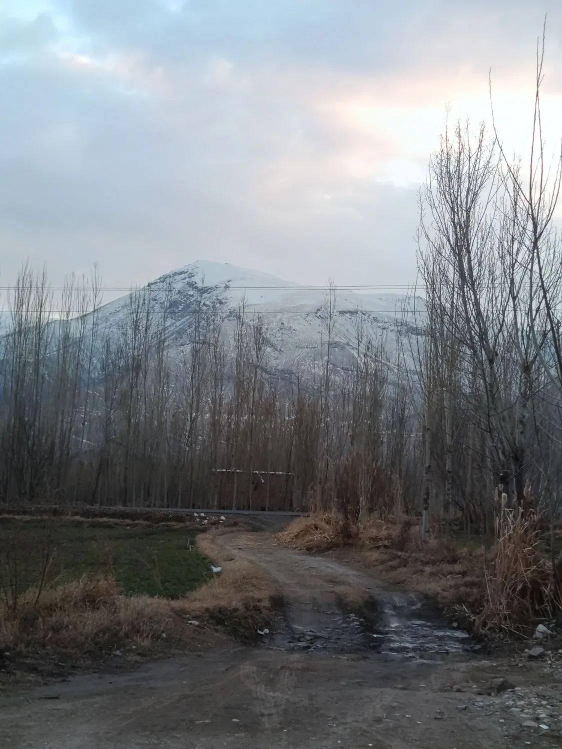 زمین ویلایی اردوشاهی