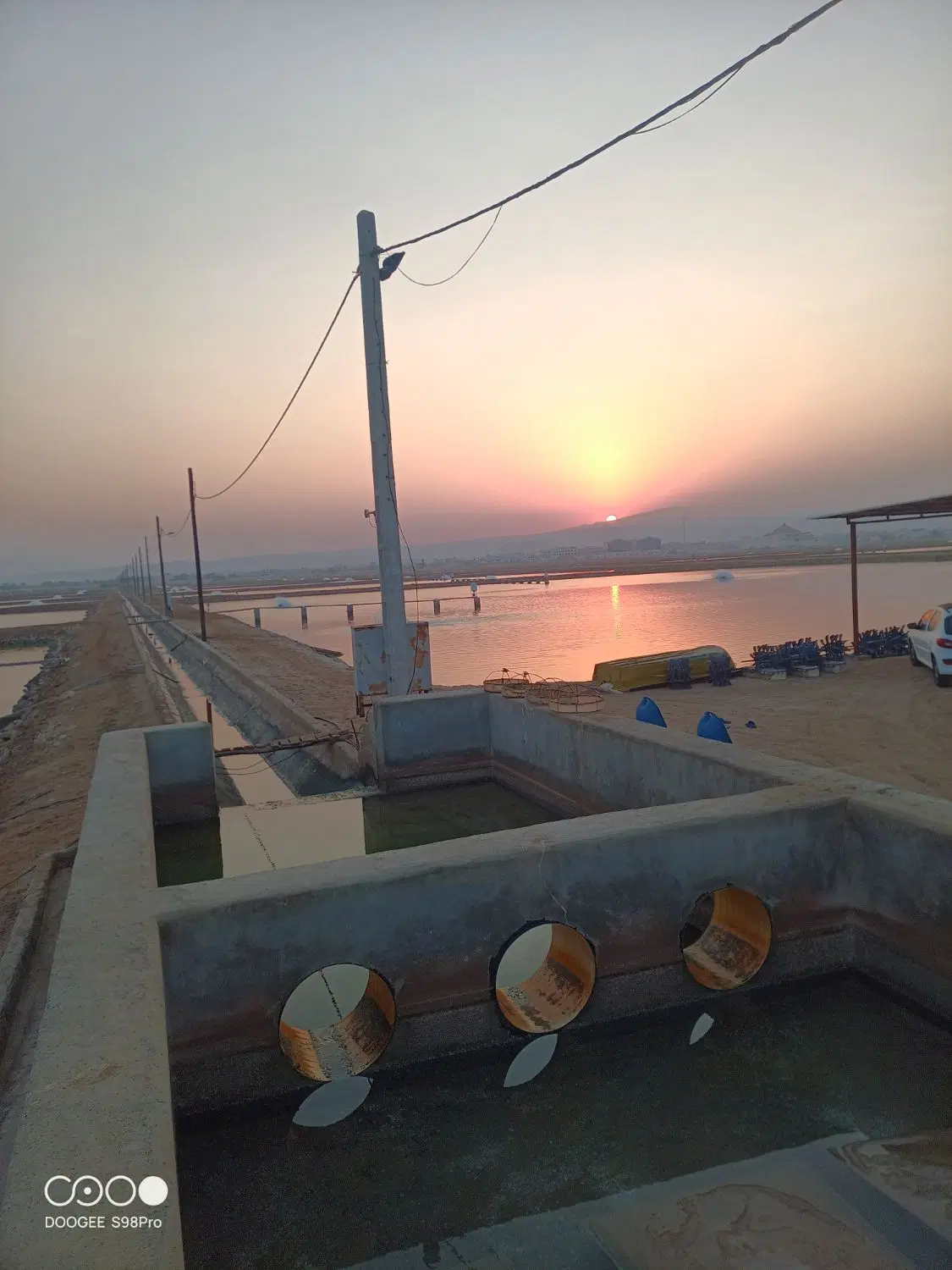 مزرعه پرورش میگو
