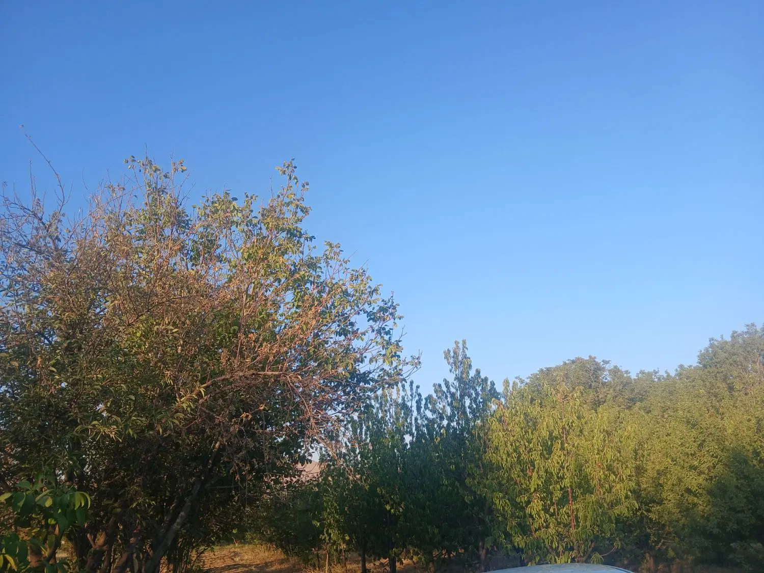فروش زمین گوار گلشن اباد