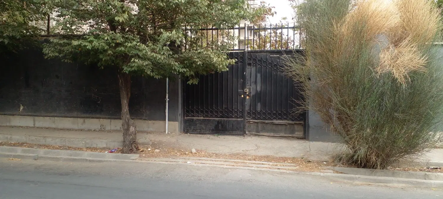 ۲۸۰۰متر سند تک برگ سبز