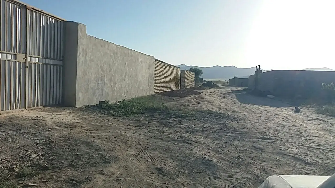 زمین باغی