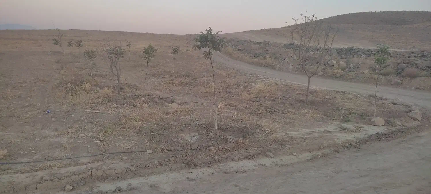 فروش باغ