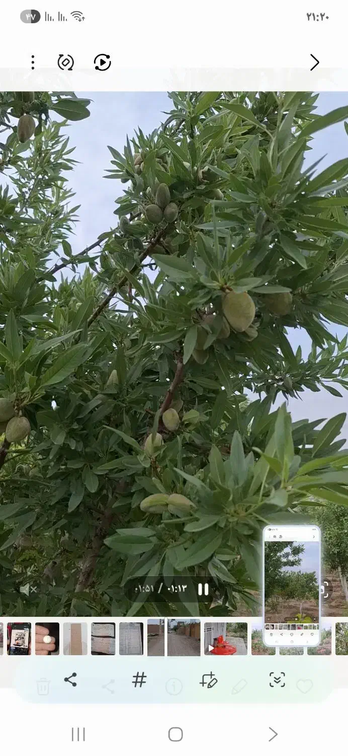 باغ ویلا گلدشت