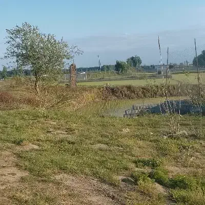 زمین فروشی ۳۶۰متری در روستای محمودآباد