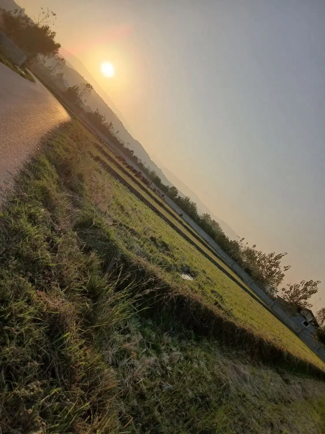 یک قطعه زمین به مساحت ۱۷۷