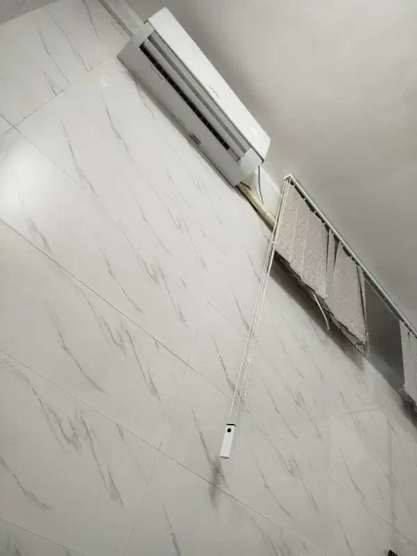 همخونه خانم