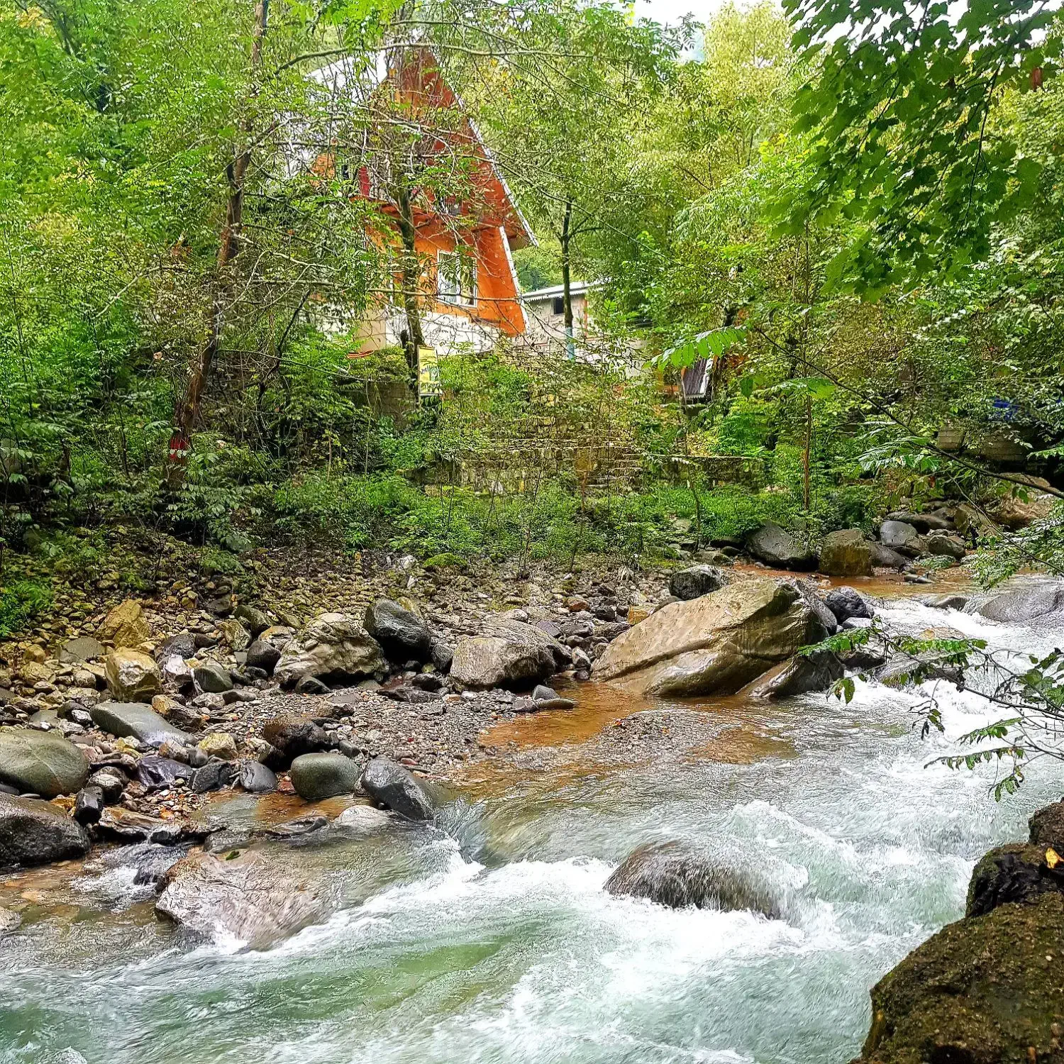 کلبه چوبی امیر دربست