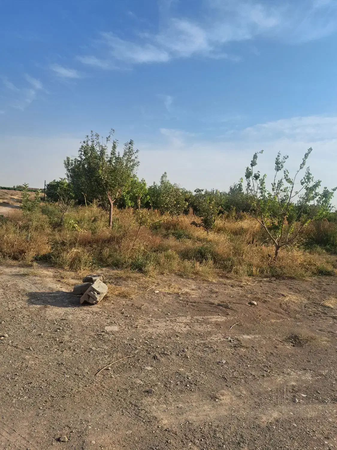 یک راس کاوداری ب متراژ ۱۳هزارمتر