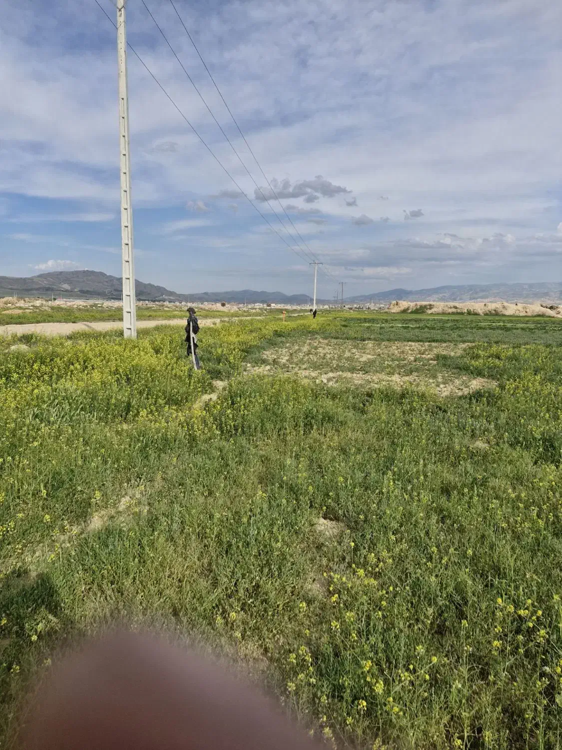 زمین مناسب باغ قسمت بالای کلاته محمدعلی پهلوان