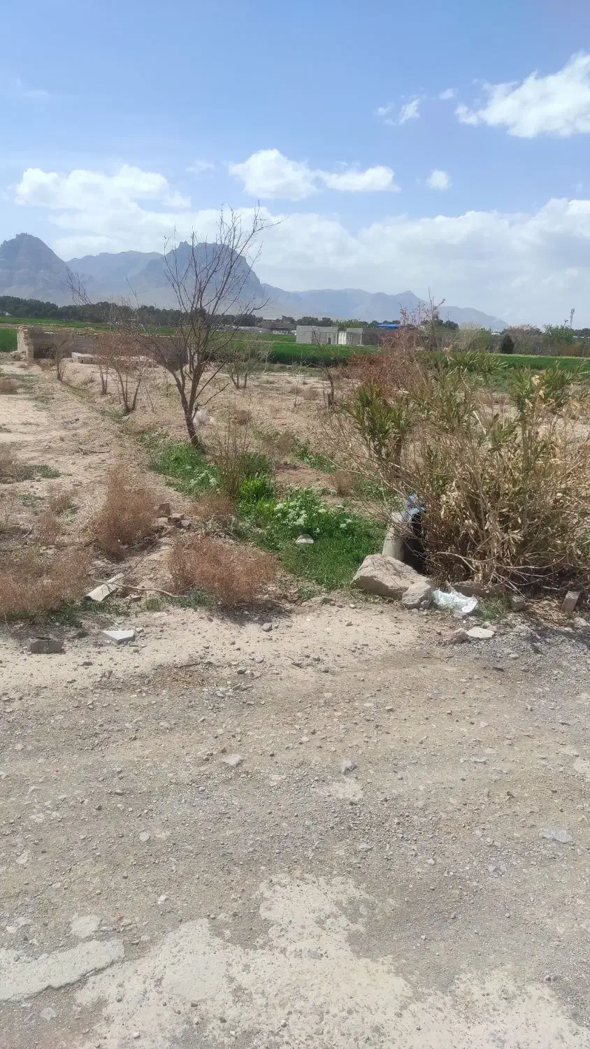 زمین بایر. جنب مسکونی ها
