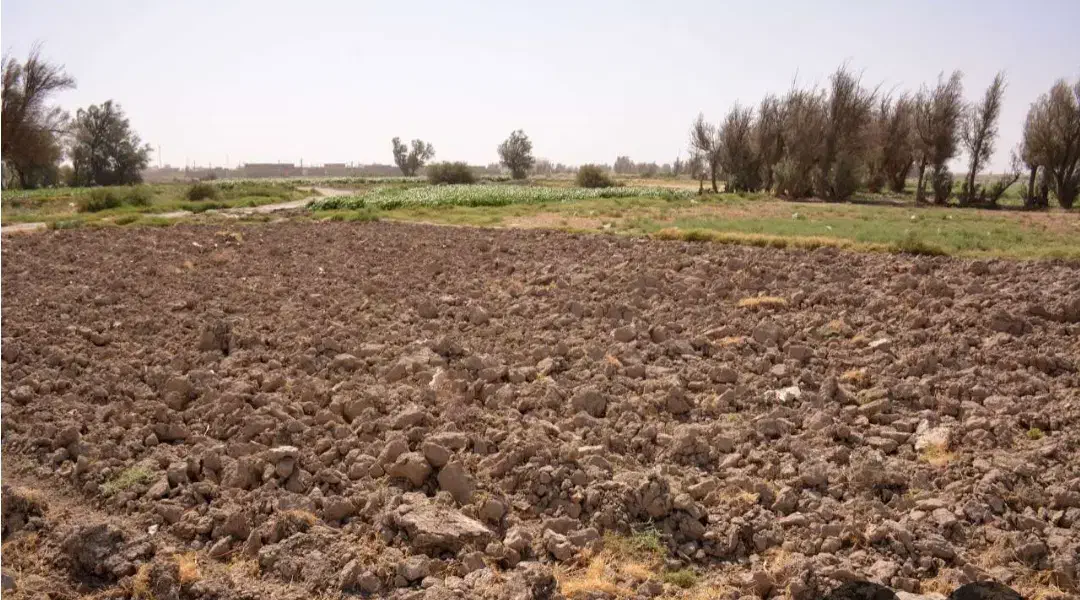 فروش زمین زراعی در روستای برگشاد نزدیک مرغداری