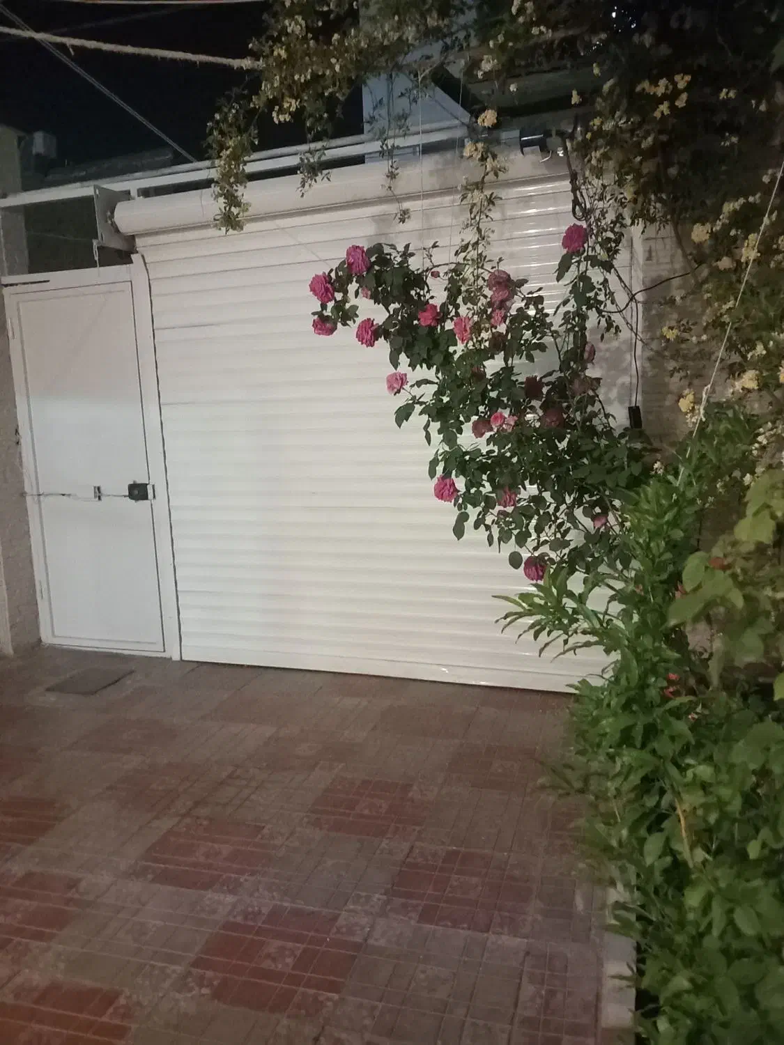 خانه