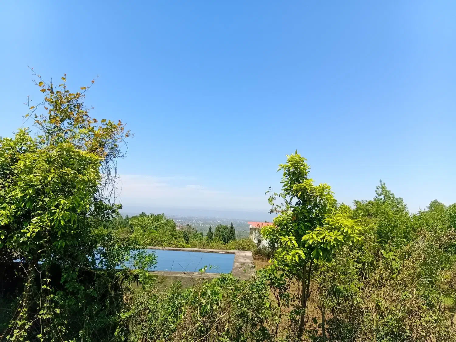 فروش ملک و زمین