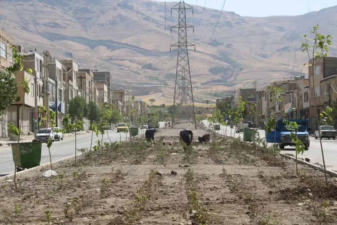 مغازه نایسر
