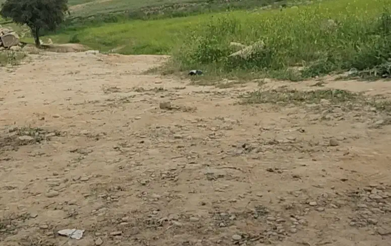 زمین ۱۵۰متری چمگلک