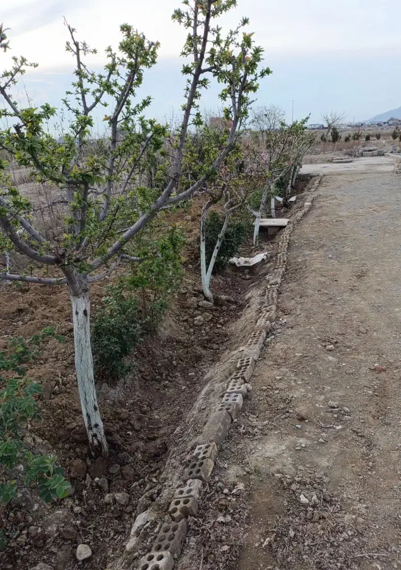 باغ فیروز بهرام