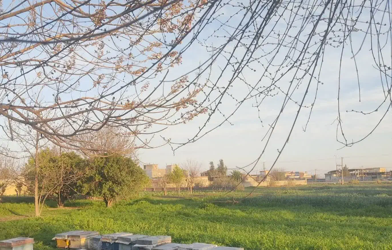 زمین مناسب تجاری ، تعمیرگاه ،صافکاری