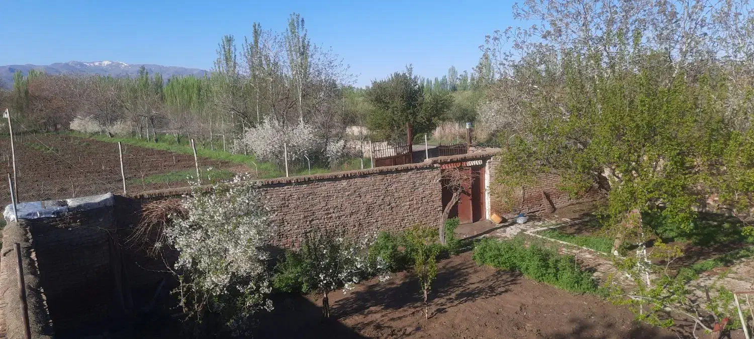 دامداری