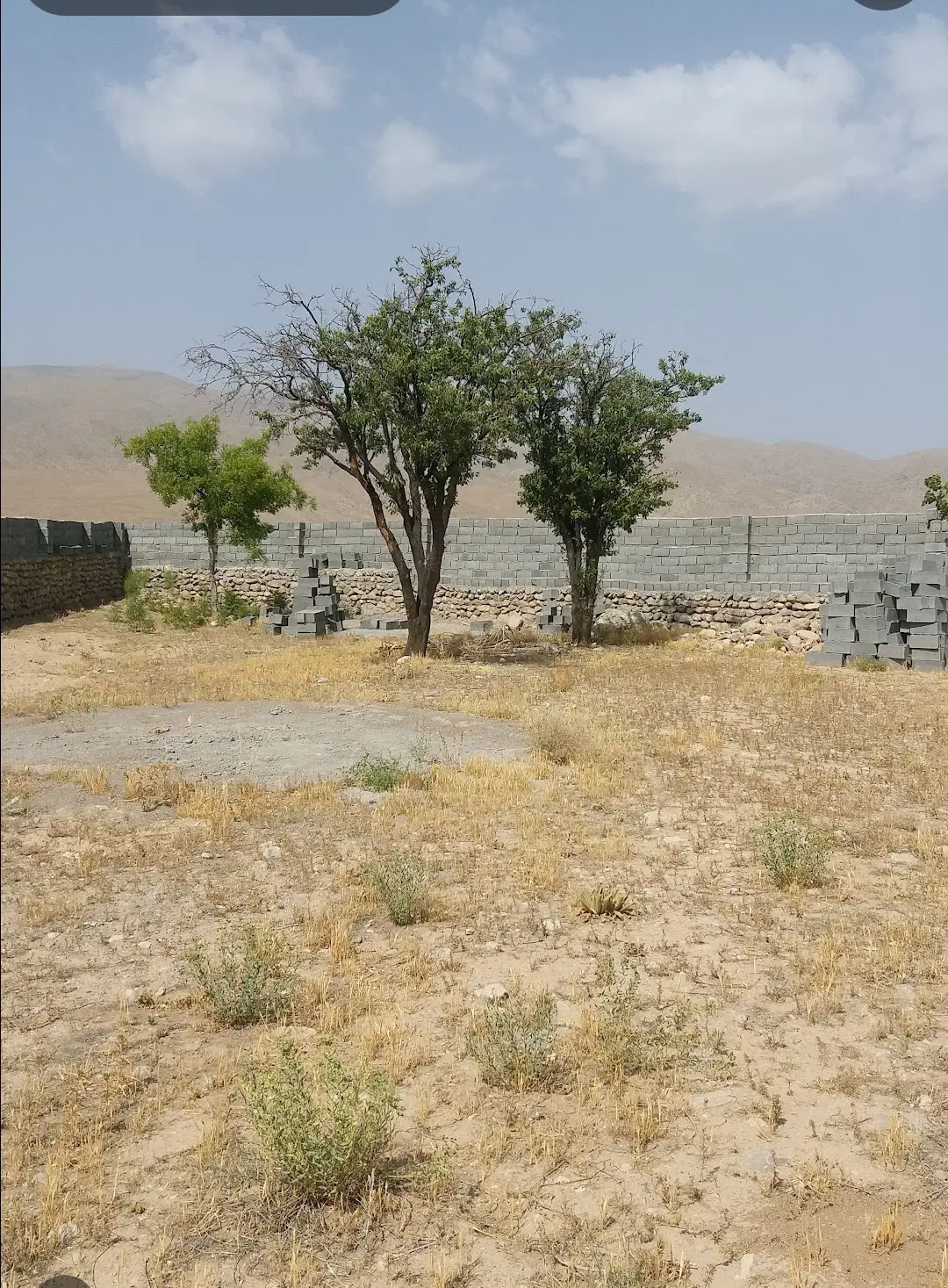 فروش زمین