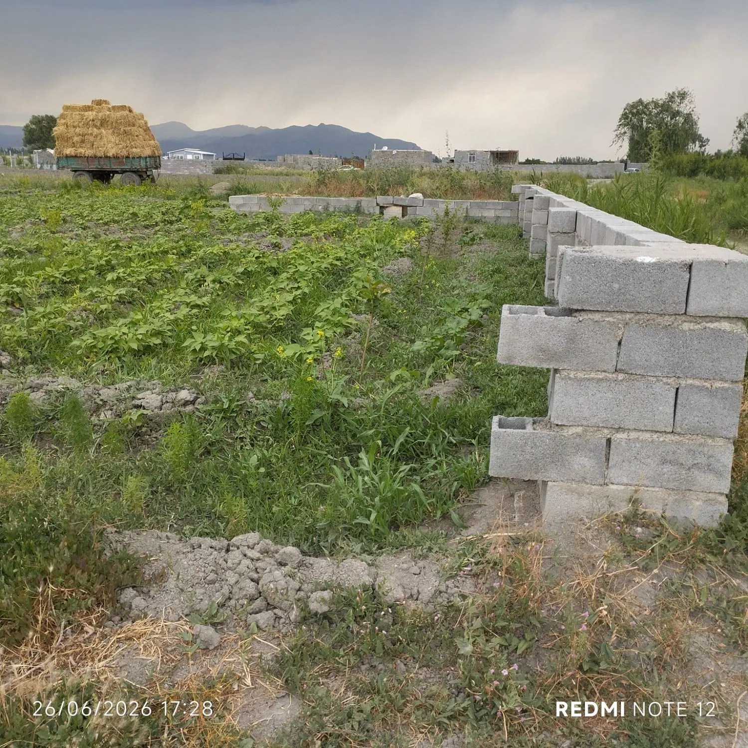 زمین کشاورزی