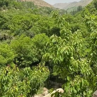 ۲۰ساعت آب عمیق ده کیلومتری سبزوار