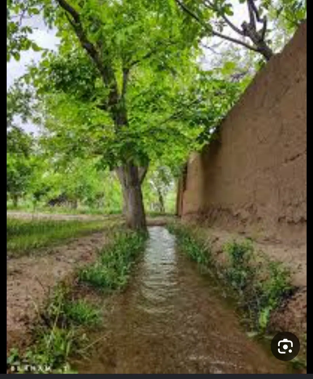 زمین سیماک دار چهار دیواری کاربری ویلایی