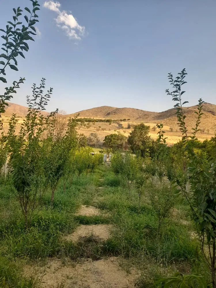 باغچه  به متراژ ۱۲۰۰ متر