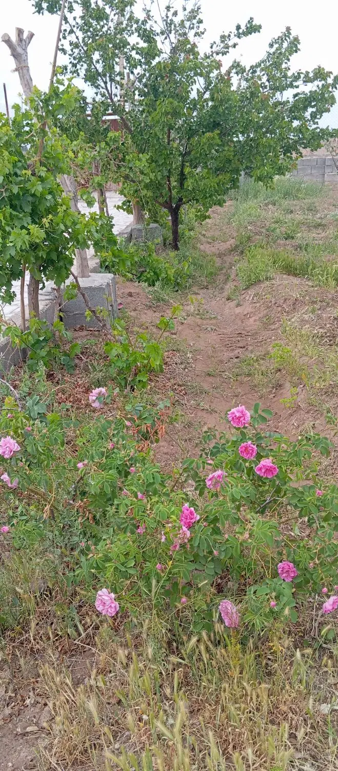 فروش زمین مسکونی