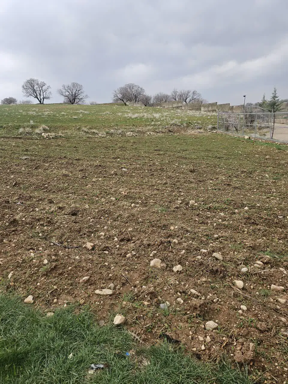 زمین باغ