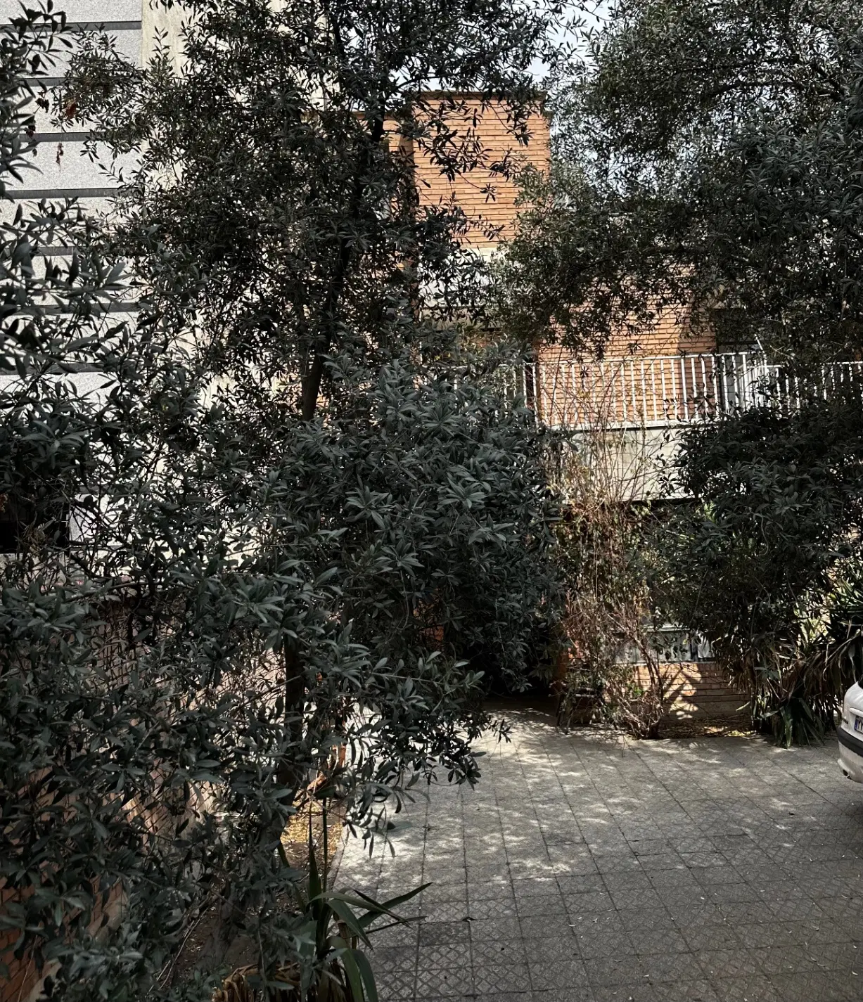 فروش خانه زمان پهلوی