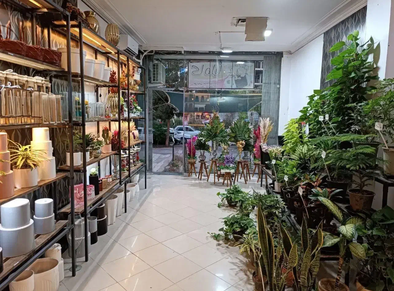 اجاره مغازه ابتدای ولیعصر جنوبی