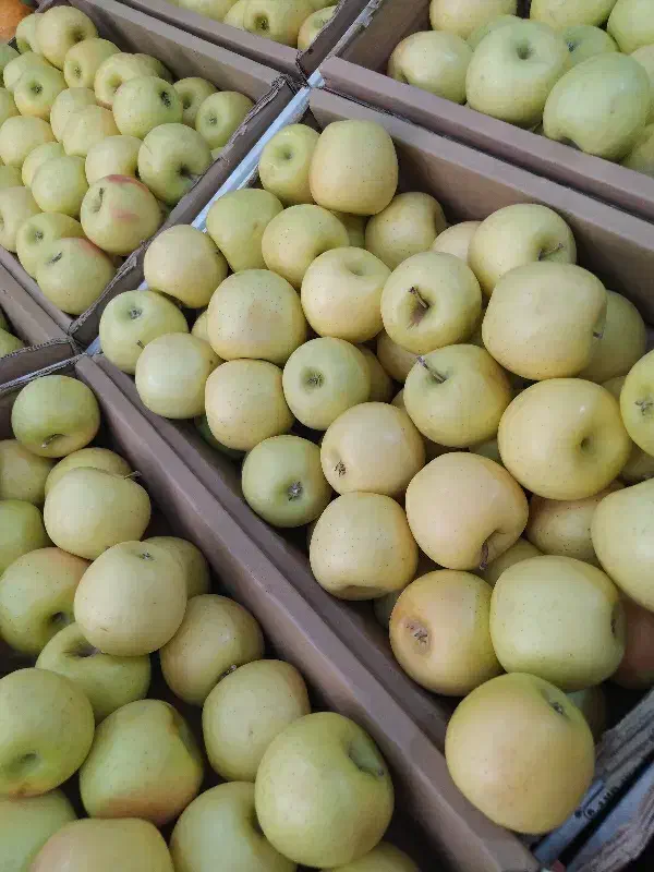 واگذاری مغازه میوه فروشی ملک شهر خیابان مفتح