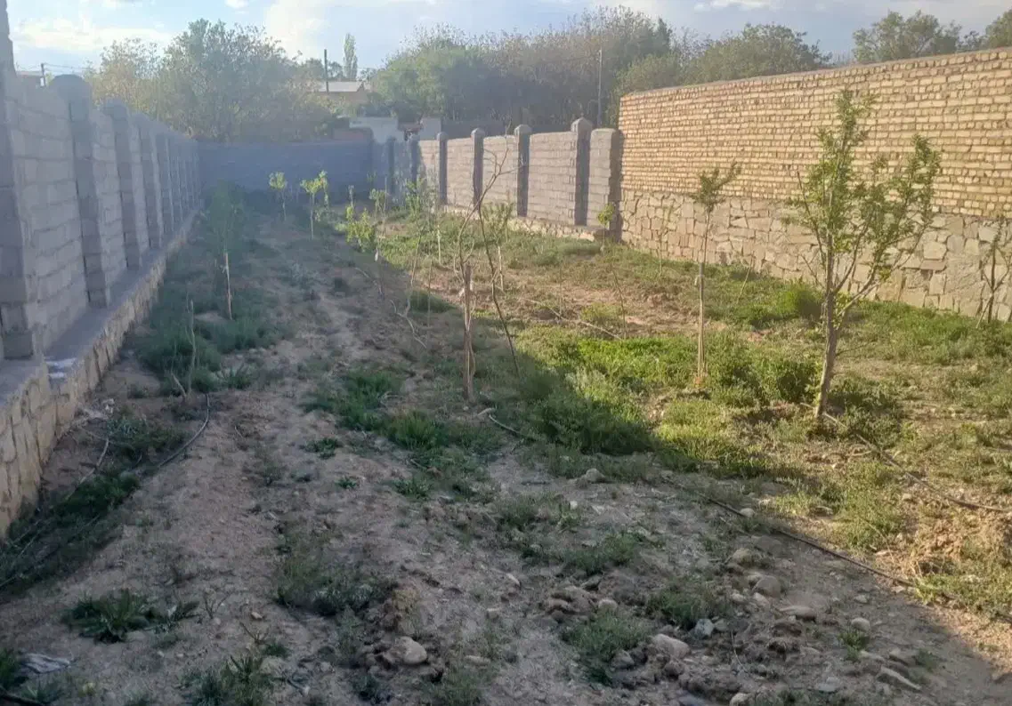 باغ دیوارکشی شده