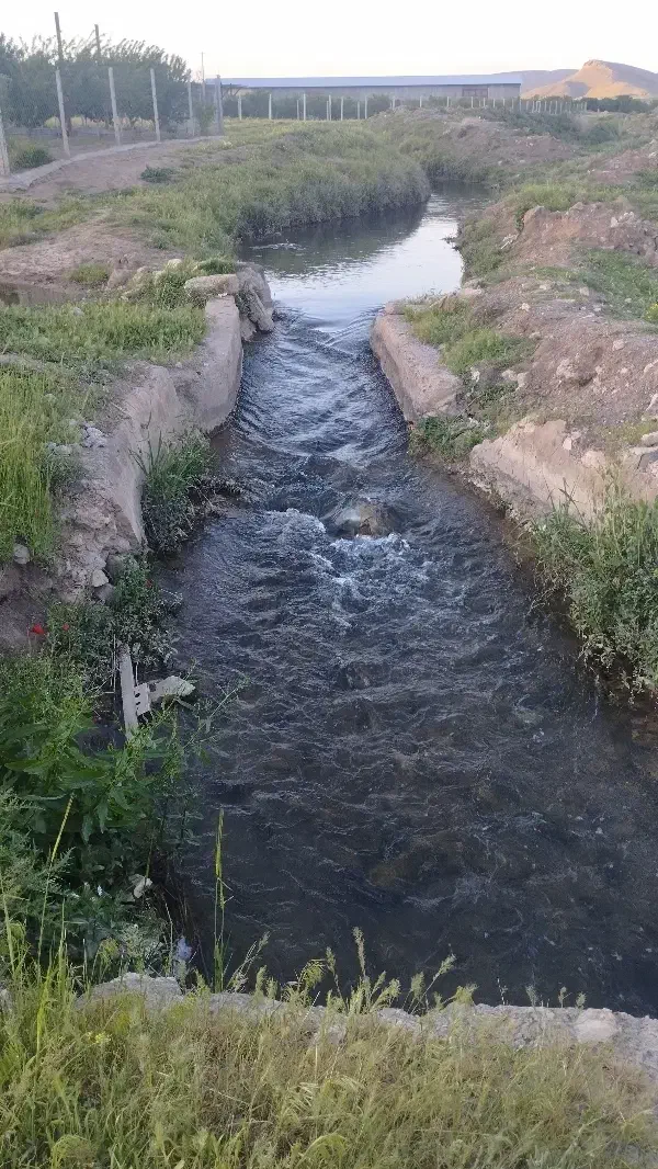 فروش باغ حدود ۴ جریب بین سرپل و حمزآباد