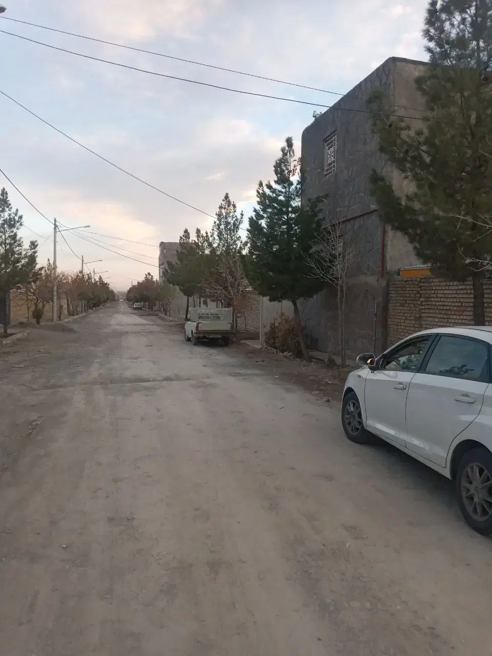 زمین پرستو