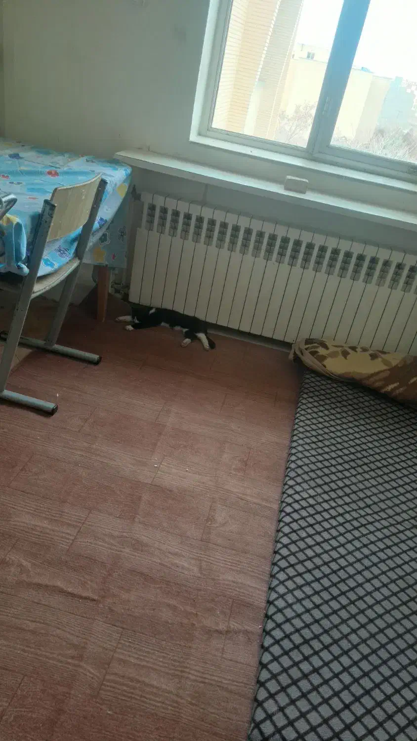 هم خونه
