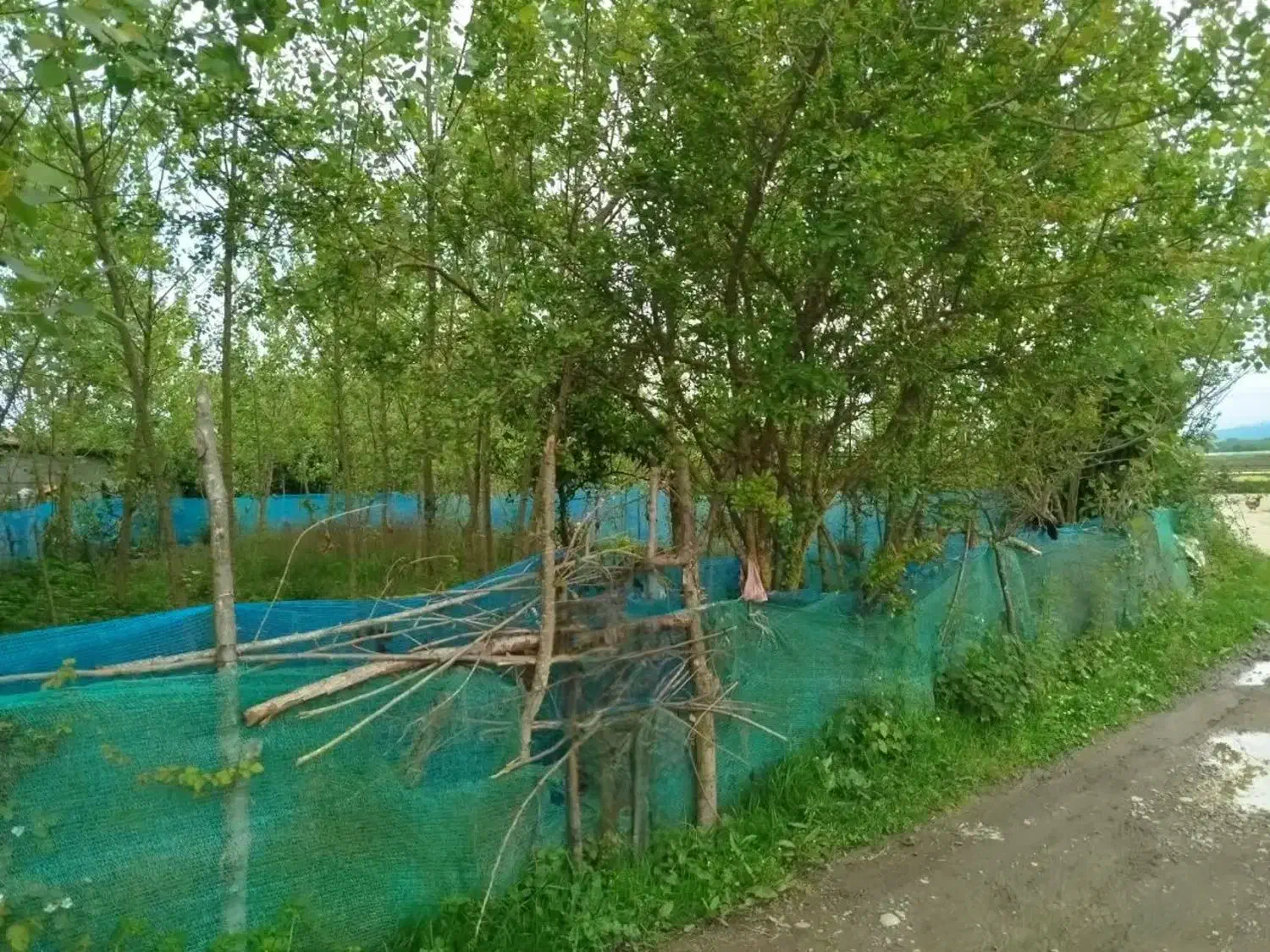زمین فروشی