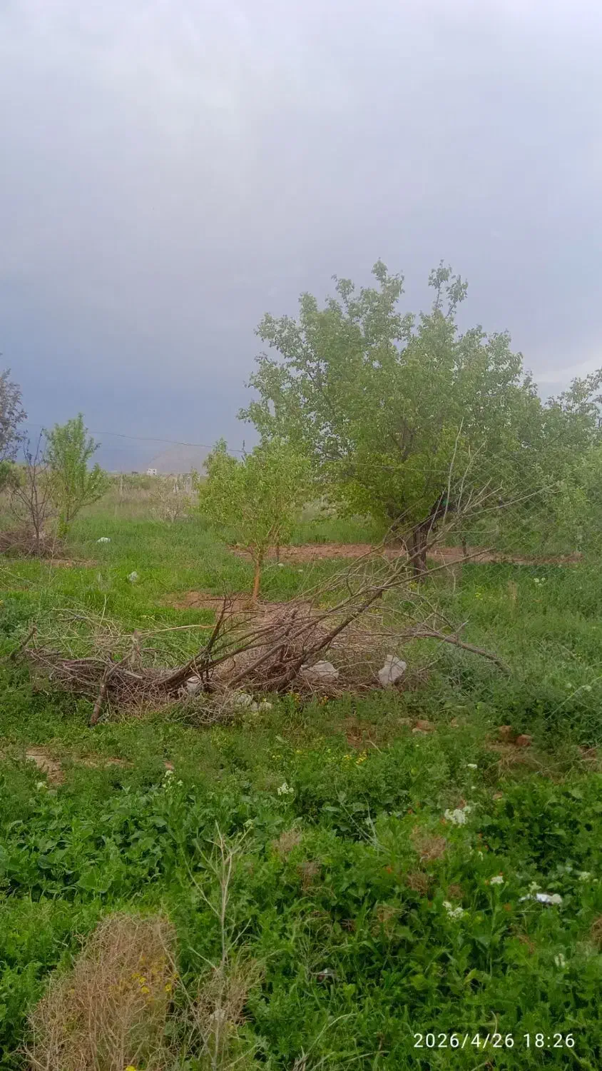 باغ ۲۴۰۰متری