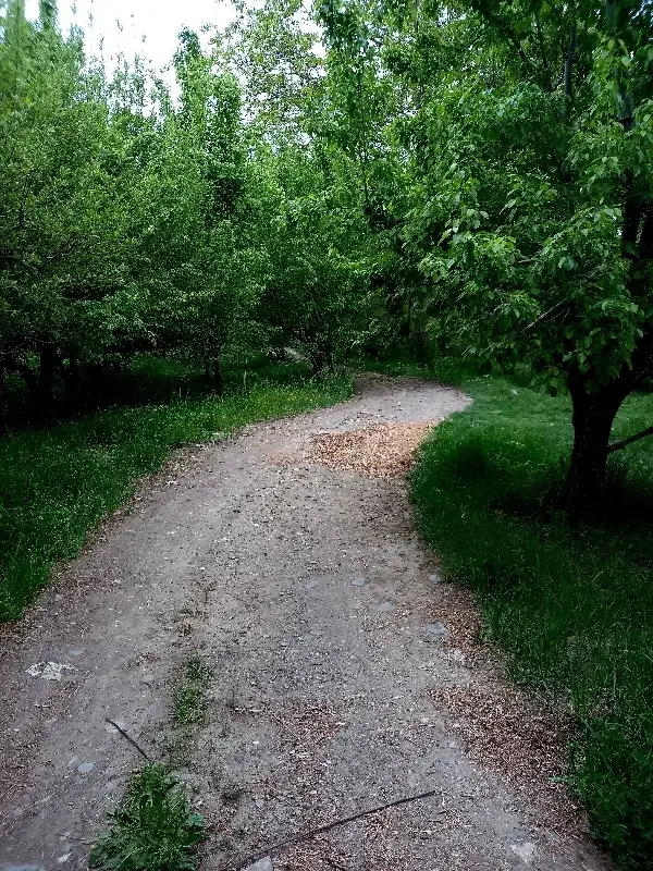 باغ فروشی روستای آبقد