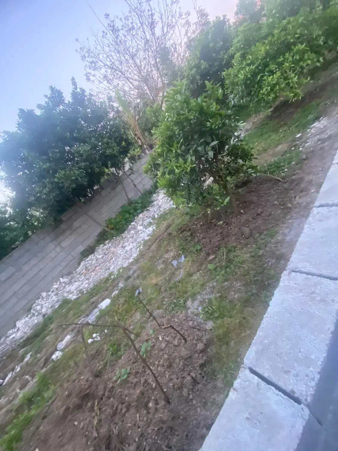 فروش ۲۵۰متر زمین کد ۱۰۰۴