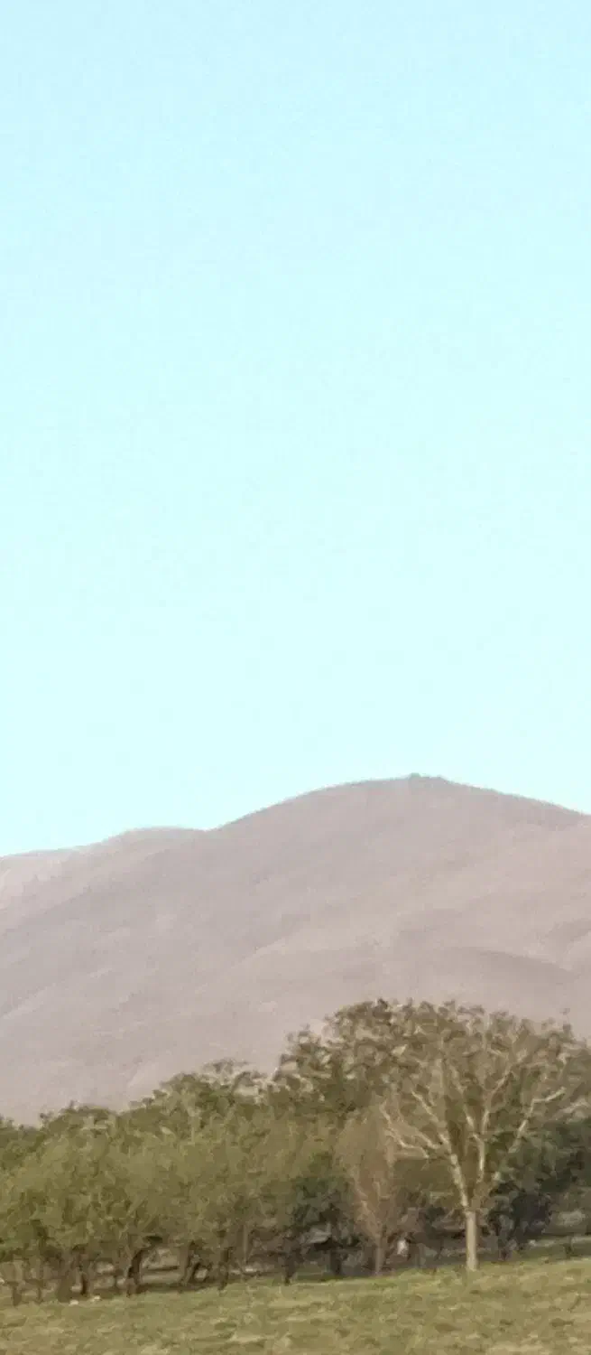 زمین