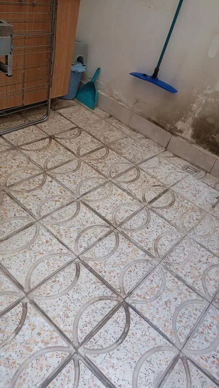 واحد۷۳متری شاخه