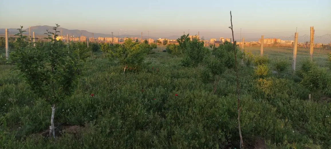 باغ در شهرک نارمک(میانچال)